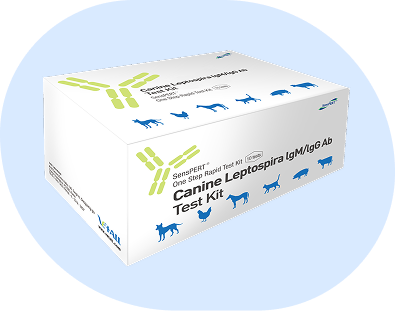 Leptospira IgGIgM