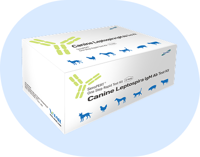 Leptospira IgM